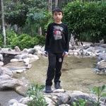 Ali