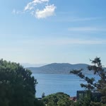 Orazgul