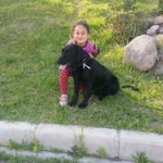 Rohat