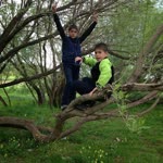 Kazim