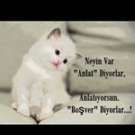Fevzi