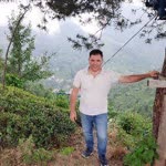 Nazım