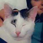 Nur