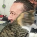 İsmail