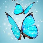 Dilek