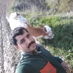 İbrahim