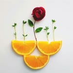 Rojin