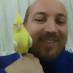 Erhan