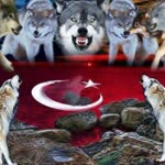 Ayhan