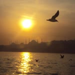 Yüksel