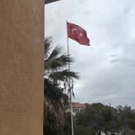 Musa