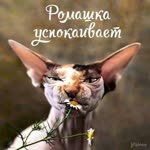 Людмила