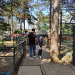 Burak