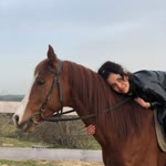 Duygu