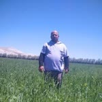 İsa