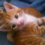 Ebru