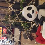 Halil