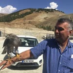 Şaban