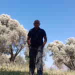 Tevhit