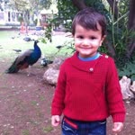 Dilek