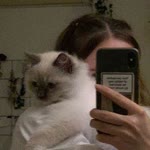 Zeynep