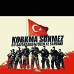 Şahin