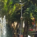 Şerife