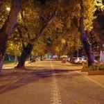 Harun