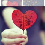 Merve