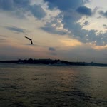 Hira