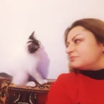 Sanem