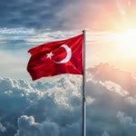 Şamil