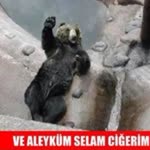 Melih