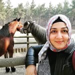 Elvan
