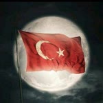 Şahin