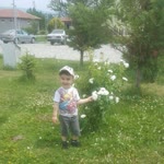 Mustafa