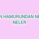 Buse