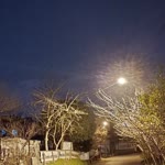 Osman
