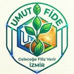 Umut