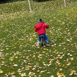 Merve