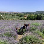 Profil fotoğrafı