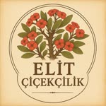 Elit