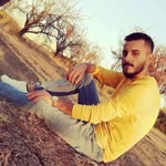 Süleyman
