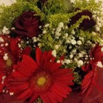 Fatma