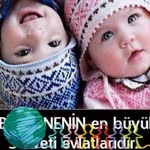 Şeyda
