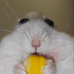 Henry
