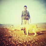 Hasan