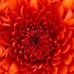 Hatice