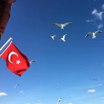 Zehra