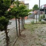 İlyas